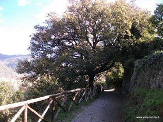 cantara gurne06-01-2013 12-15-11